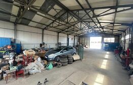 Hala Industriala, 290 mp, zona Calea Severinului