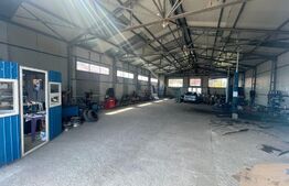 Hala Industriala, 290 mp, zona Calea Severinului