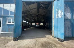 Hala Industriala, 290 mp, zona Calea Severinului