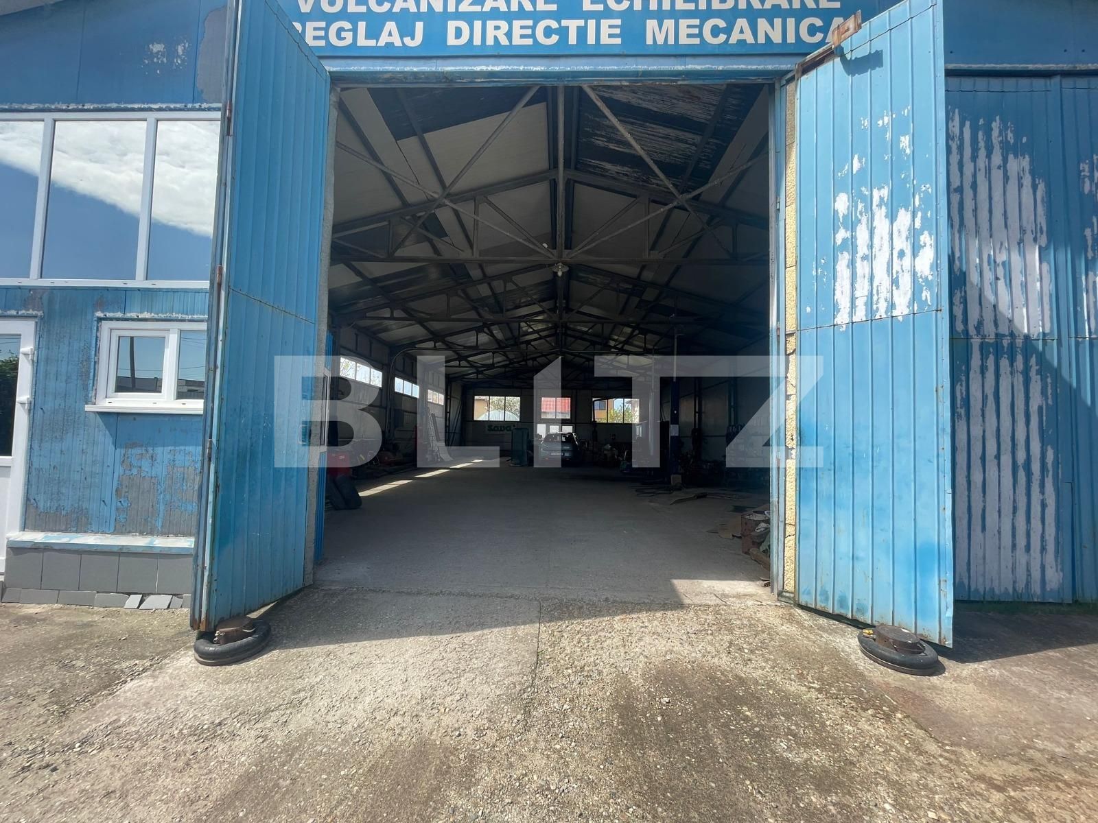 Spațiu industrial de închiriat Calea Severinului - 114436SII | BLITZ Craiova | Poza2