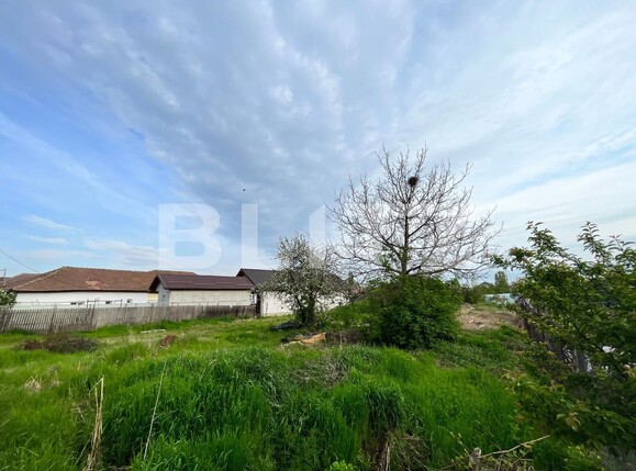 Teren de vânzare Brestei - 114455TV | BLITZ Craiova | Poza4