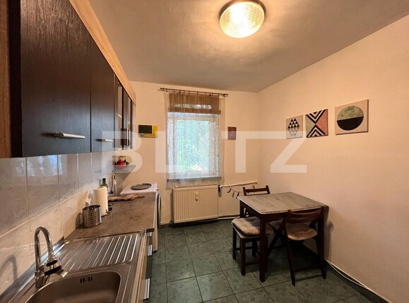 Apartament de închiriat 2 camere Calea Bucuresti - 114456AI | BLITZ Craiova | Poza3