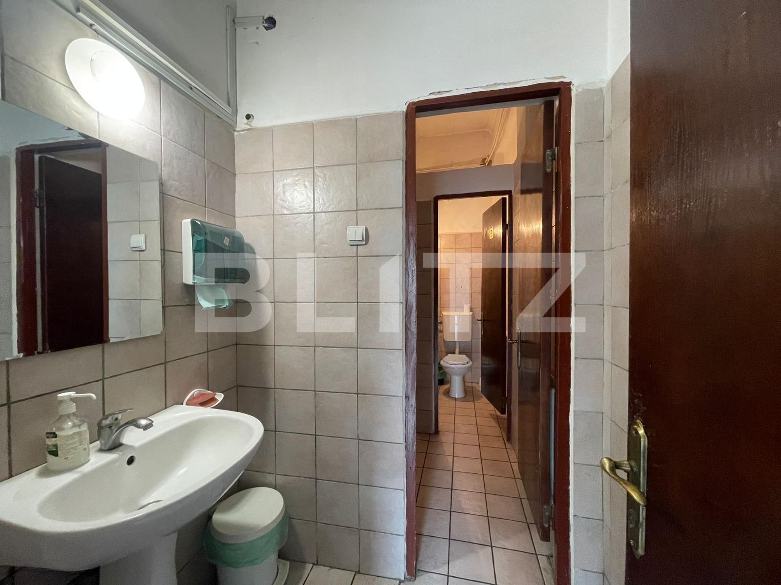 Spațiu birouri de închiriat Lapus - 114512SIB | BLITZ Craiova | Poza12