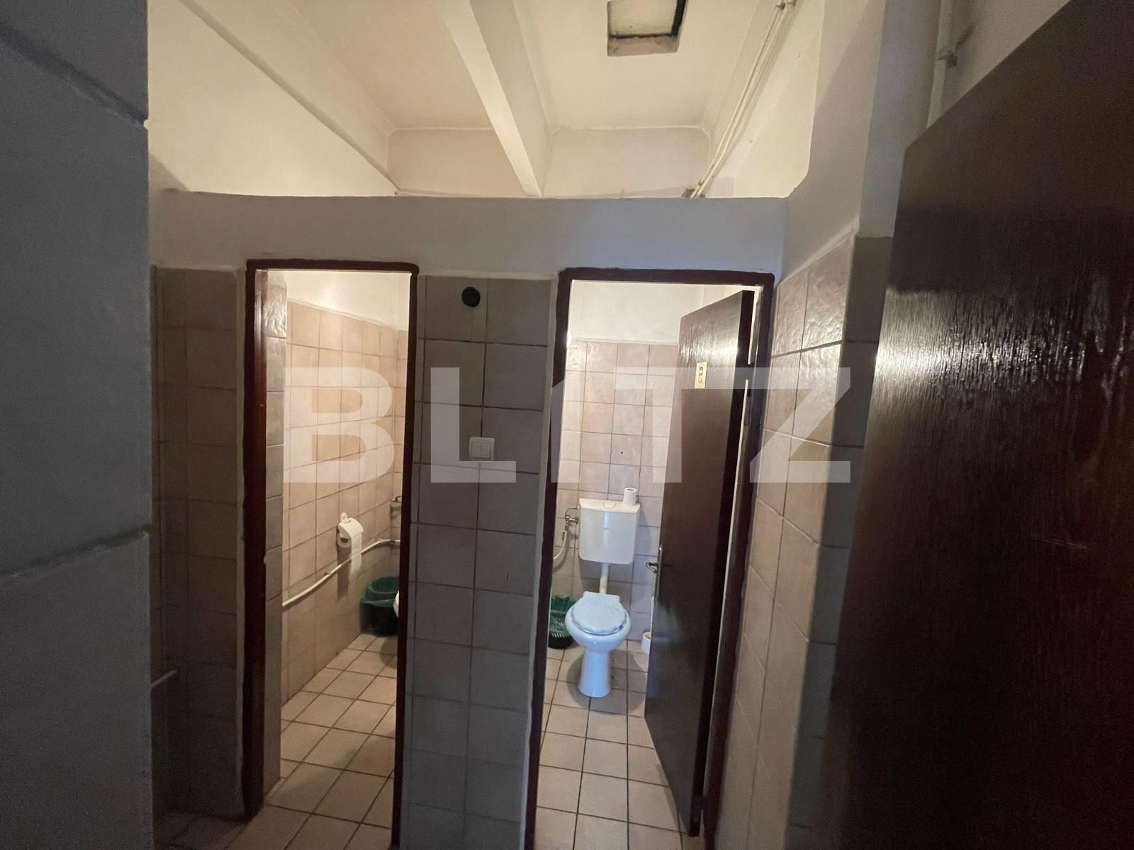 Spațiu birouri de închiriat Lapus - 114512SIB | BLITZ Craiova | Poza15