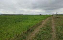 Teren Extravilan 7500 mp,  zona Izvorul Rece