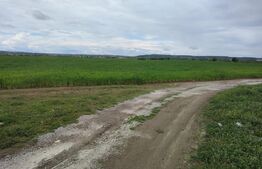 Teren Extravilan 7500 mp,  zona Izvorul Rece