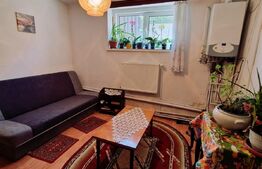 Casa renovata D+P, 170 mp utili și 235 mp teren, zona Parc Romanescu!