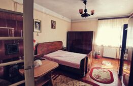 Casa renovata D+P, 170 mp utili și 235 mp teren, zona Parc Romanescu!