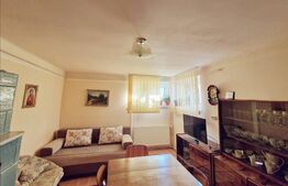 Casa renovata D+P, 170 mp utili și 235 mp teren, zona Parc Romanescu!