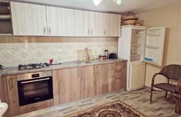 Casa renovata D+P, 170 mp utili și 235 mp teren, zona Parc Romanescu!