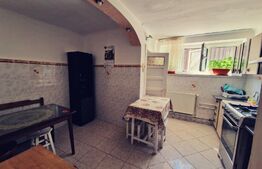 Casa renovata D+P, 170 mp utili și 235 mp teren, zona Parc Romanescu!