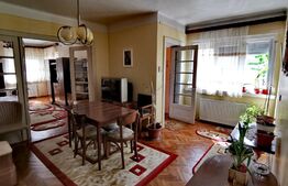 Casa renovata D+P, 170 mp utili și 235 mp teren, zona Parc Romanescu!