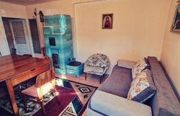 Casa renovata D+P, 170 mp utili și 235 mp teren, zona Parc Romanescu!