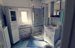 Casa renovata D+P, 170 mp utili și 235 mp teren, zona Parc Romanescu!