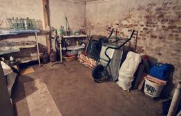 Casa renovata D+P, 170 mp utili și 235 mp teren, zona Parc Romanescu!