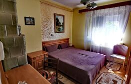 Casa renovata D+P, 170 mp utili și 235 mp teren, zona Parc Romanescu!