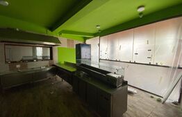 Spatiu comercial, 500 mp, teren 1307 mp, zona Romanești, posibilitate Rate Proprietar