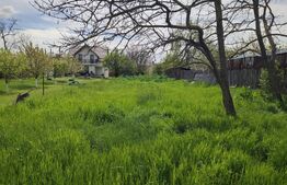 Teren Intravilan 2550 mp cu utilități 