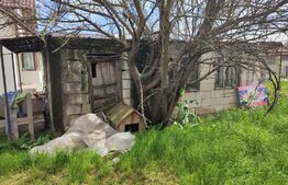 Teren Intravilan 2550 mp cu utilități 