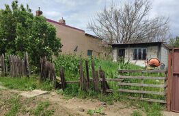 Teren Intravilan 2550 mp cu utilități 