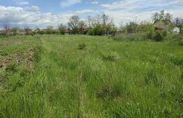 Teren Intravilan 2550 mp cu utilități 