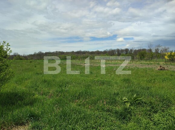 Teren de vânzare Ghercesti - 114620TV | BLITZ Craiova | Poza7