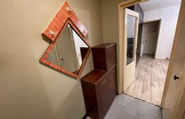 Apartament 2 camere 54mp petfrendly, Craiovita Noua