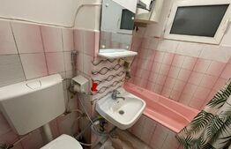 Apartament 2 camere 54mp petfrendly, Craiovita Noua