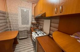 Apartament 2 camere 54mp petfrendly, Craiovita Noua