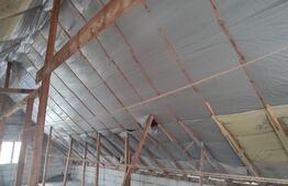 Casa 80 mp cu teren 690 mp ,Bariera Vâlcii 