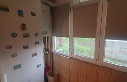 Apartament 3 camere, centrala, Rovine, zona Lidl