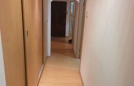 Apartament 3 camere, centrala, Rovine, zona Lidl