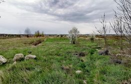 Teren intravilan 4672 mp , stradal DN6, zona sere Isalnita!