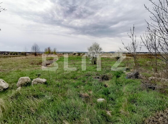 Teren de vânzare Isalnita - 115060TV | BLITZ Craiova | Poza2