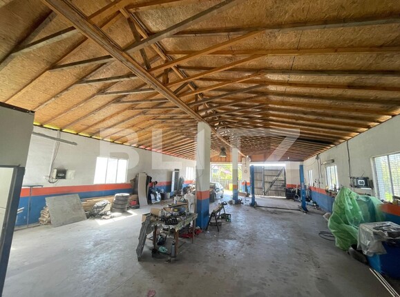 Spațiu industrial de închiriat Nord-Est - 115086SII | BLITZ Craiova | Poza1