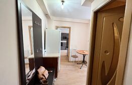 Garsonieră decomandată, 36 mp utili, Brazda lui Novac