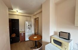 Garsonieră decomandată, 36 mp utili, Brazda lui Novac