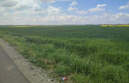 Teren intravilan 7600 mp , Ghercești