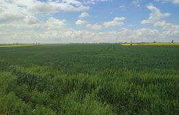 Teren intravilan 7600 mp , Ghercești