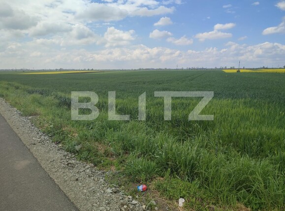Teren de vânzare Ghercesti - 115233TV | BLITZ Craiova | Poza2