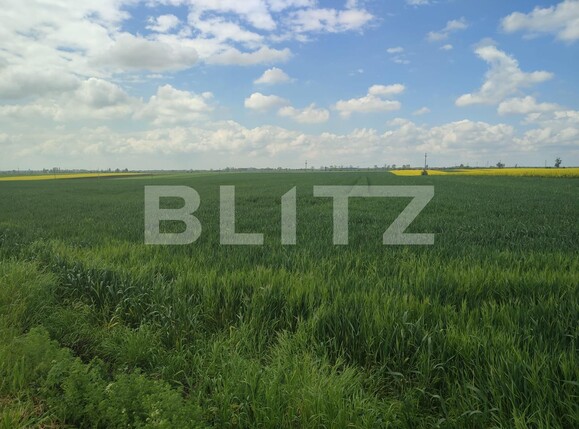 Teren de vânzare Ghercesti - 115233TV | BLITZ Craiova | Poza1
