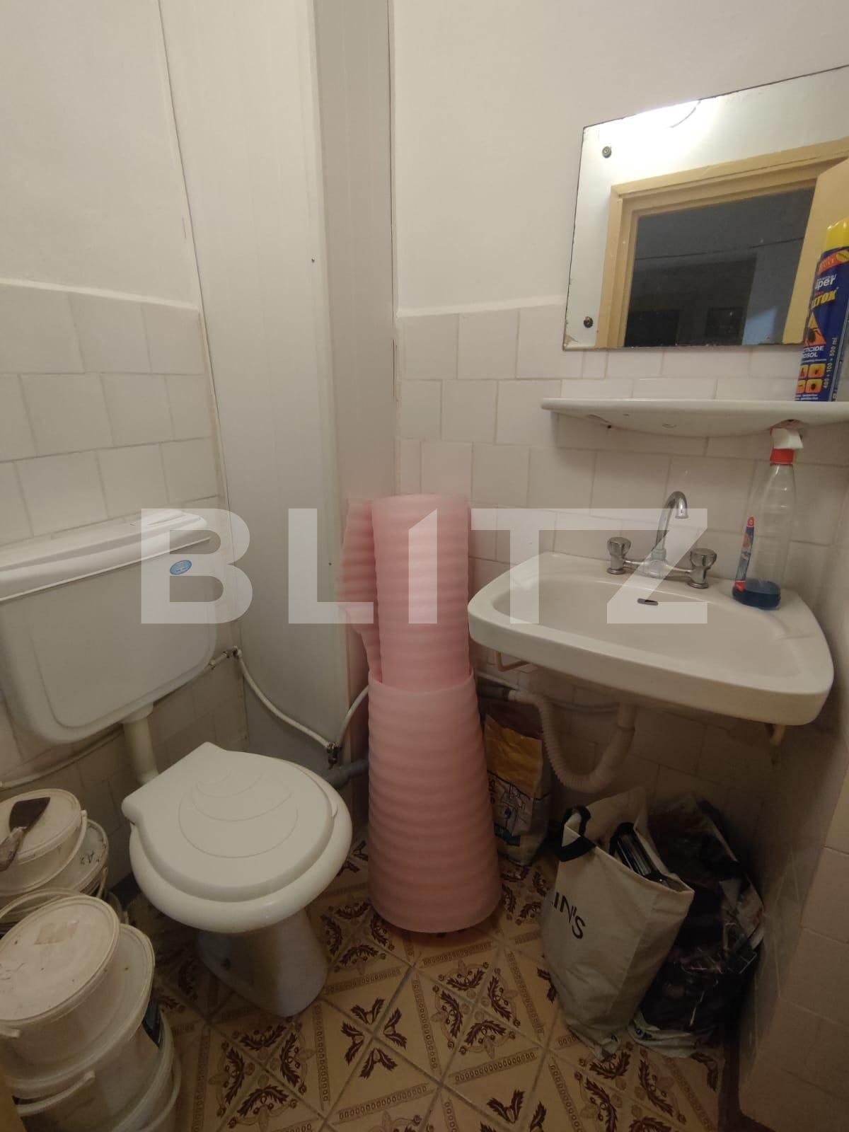 Apartament de vânzare 3 camere Lapus - 115238AV | BLITZ Craiova | Poza7
