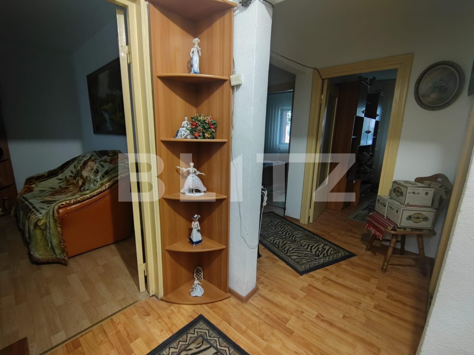 Apartament de vânzare 3 camere Lapus - 115238AV | BLITZ Craiova | Poza4