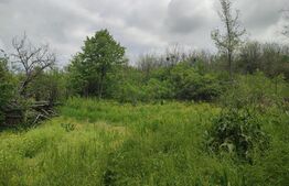 Casă veche și teren 2600 mp , Câmpeni 