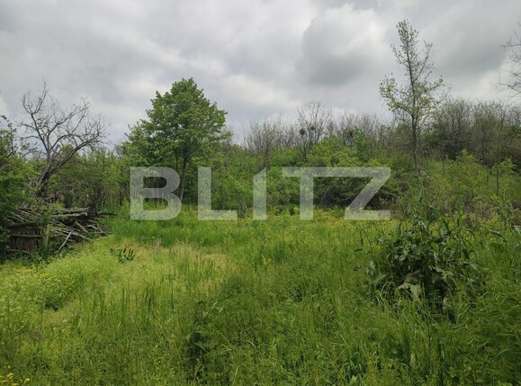 Casa de vânzare 2 camere Pielești - 115246CV | BLITZ Craiova | Poza5