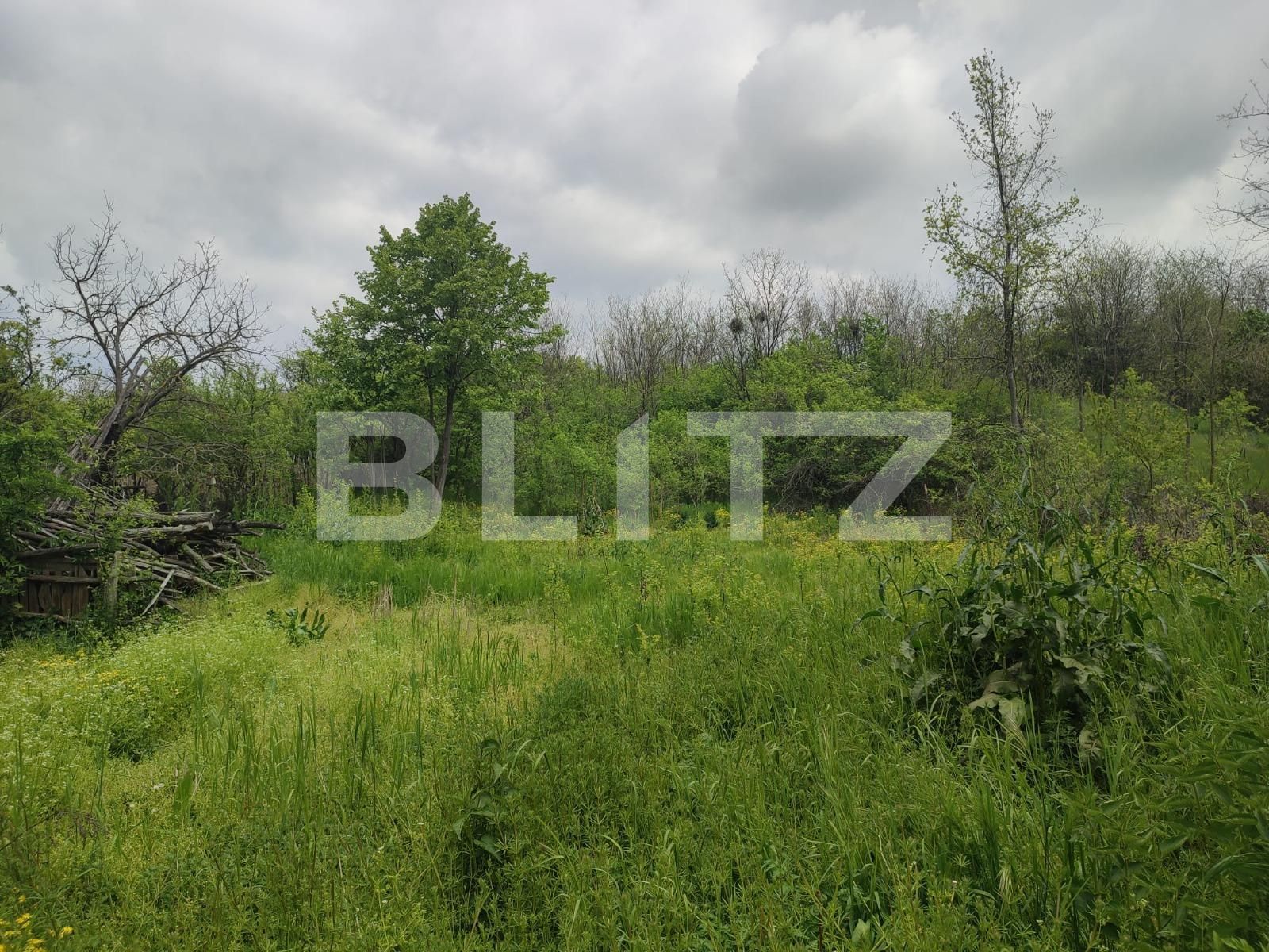 Casa de vânzare 2 camere Pielești - 115246CV | BLITZ Craiova | Poza5