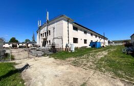 OPORTUNITATE! Teren intravilan 4,5 ha, cu 8 hale de peste 16.000 mp cu panouri fotovoltaice, Brădești