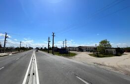 OPORTUNITATE! Teren intravilan 4,5 ha, cu 8 hale de peste 16.000 mp cu panouri fotovoltaice, Brădești