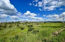 REDUCERE! Teren intravilan 15.300 mp, deschidere 56 m în giratoriu, Drobeta Turnu Severin