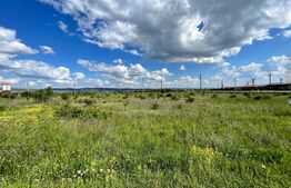 REDUCERE! Teren intravilan 15.300 mp, deschidere 56 m în giratoriu, Drobeta Turnu Severin